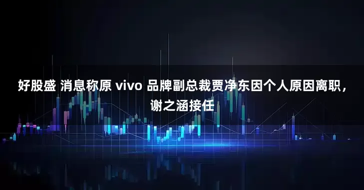 好股盛 消息称原 vivo 品牌副总裁贾净东因个人原因离职，谢之涵接任