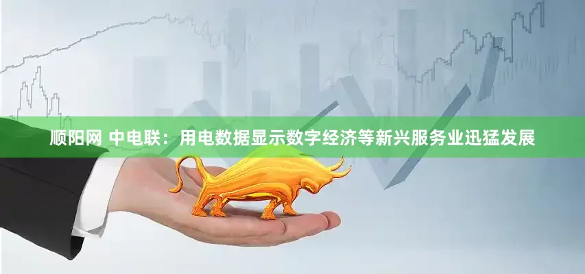 顺阳网 中电联：用电数据显示数字经济等新兴服务业迅猛发展