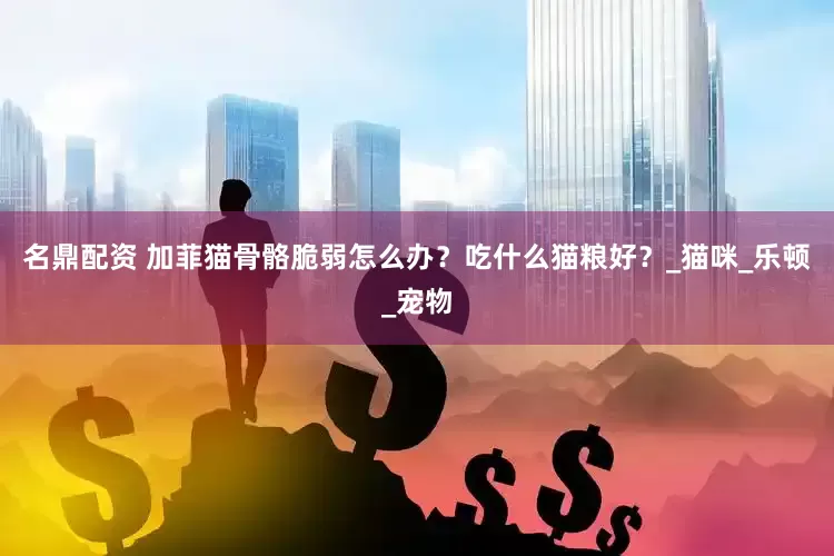 名鼎配资 加菲猫骨骼脆弱怎么办？吃什么猫粮好？_猫咪_乐顿_宠物