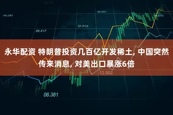 永华配资 特朗普投资几百亿开发稀土, 中国突然传来消息, 对美出口暴涨6倍