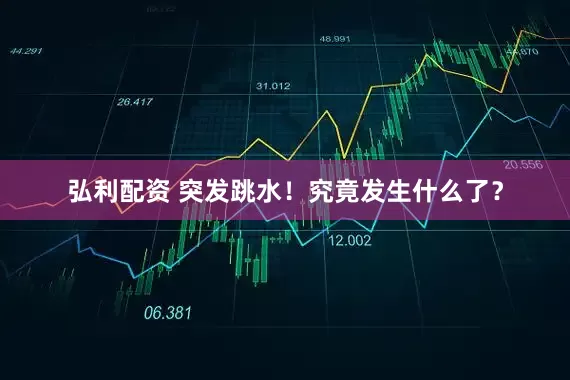 弘利配资 突发跳水！究竟发生什么了？